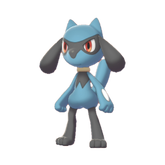 Buy Riolu in Brilliant Diamond & Shining Pearl